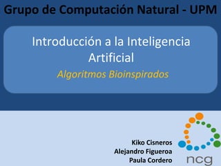 Grupo de Computación Natural - UPM Introducción a la Inteligencia Artificial Algoritmos Bioinspirados Kiko Cisneros Alejandro Figueroa Paula Cordero 