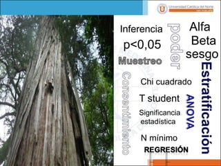 Inferencia
p<0,05
sesgo
Chi cuadrado
T student
Significancia
estadística
N mínimo
Alfa
Beta
 