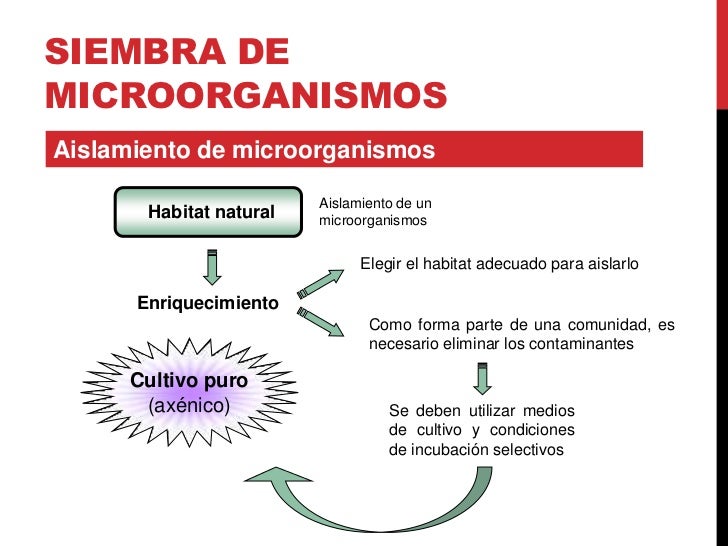 Introducción a la microbiología