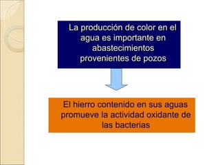 La producción de color en el
agua es importante en
abastecimientos
provenientes de pozos
El hierro contenido en sus aguas
promueve la actividad oxidante de
las bacterias
 