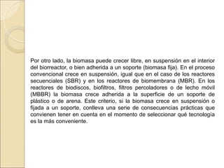 Por otro lado, la biomasa puede crecer libre, en suspensión en el interior
del biorreactor, o bien adherida a un soporte (biomasa fija). En el proceso
convencional crece en suspensión, igual que en el caso de los reactores
secuenciales (SBR) y en los reactores de biomembrana (MBR). En los
reactores de biodiscos, biofiltros, filtros percoladores o de lecho móvil
(MBBR) la biomasa crece adherida a la superficie de un soporte de
plástico o de arena. Este criterio, si la biomasa crece en suspensión o
fijada a un soporte, conlleva una serie de consecuencias prácticas que
convienen tener en cuenta en el momento de seleccionar qué tecnología
es la más conveniente.
 