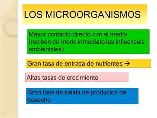 Mayor contacto directo con el medio
(reciben de modo inmediato las influencias
ambientales)
LOS MICROORGANISMOS
Gran tasa de entrada de nutrientes 
Altas tasas de crecimiento
Gran tasa de salida de productos de
desecho
 