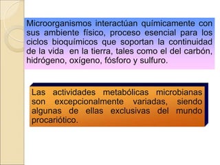 Microorganismos interactúan químicamente con
sus ambiente físico, proceso esencial para los
ciclos bioquímicos que soportan la continuidad
de la vida en la tierra, tales como el del carbón,
hidrógeno, oxígeno, fósforo y sulfuro.
Las actividades metabólicas microbianas
son excepcionalmente variadas, siendo
algunas de ellas exclusivas del mundo
procariótico.
 