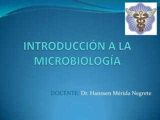 DOCENTE: Dr. Hanssen Mérida Negrete
 