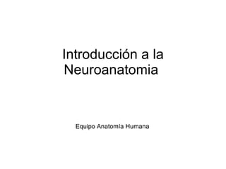 Introducción a la Neuroanatomia  Equipo Anatomía Humana   