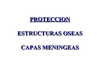 PROTECCION ESTRUCTURAS OSEAS CAPAS MENINGEAS 