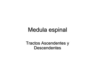 Medula espinal Tractos Ascendentes y Descendentes 