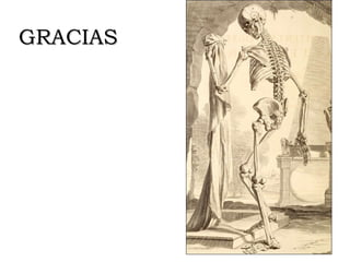 GRACIAS 