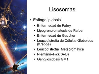 Lisosomas Esfingolipidosis Enfermedad de Fabry Lipogranulomatosis de Farber Enfermedad de Gaucher Leucodistrofia de Células Globoides (Krabbe) Leucodistrofia  Metacromática Niemann–Pick (A-B) Gangliosidosis GM1 