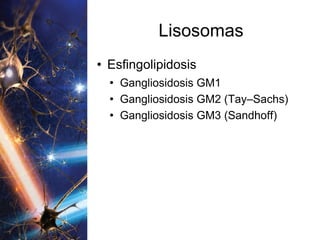 Lisosomas Esfingolipidosis Gangliosidosis GM1 Gangliosidosis GM2 (Tay–Sachs) Gangliosidosis GM3 (Sandhoff) 