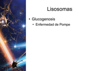 Lisosomas Glucogenosis Enfermedad de Pompe 