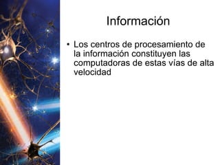 Información Los centros de procesamiento de la información constituyen las computadoras de estas vías de alta velocidad 
