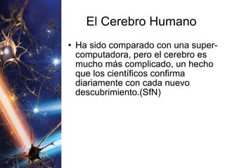 El Cerebro Humano Ha sido comparado con una super-computadora, pero el cerebro es mucho más complicado, un hecho que los científicos confirma diariamente con cada nuevo descubrimiento.(SfN) 