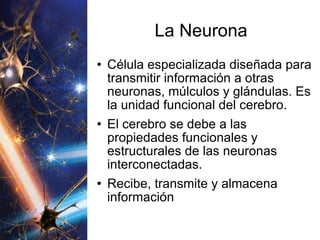 La Neurona Célula especializada diseñada para transmitir información a otras neuronas, múlculos y glándulas. Es la unidad funcional del cerebro. El cerebro se debe a las propiedades funcionales y estructurales de las neuronas interconectadas. Recibe, transmite y almacena información 