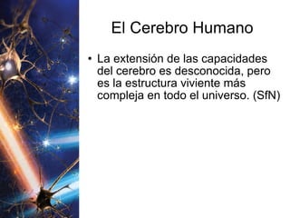 El Cerebro Humano La extensión de las capacidades del cerebro es desconocida, pero es la estructura viviente más compleja en todo el universo. (SfN) 