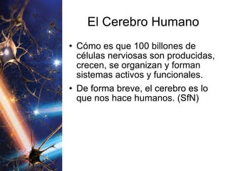 El Cerebro Humano Cómo es que 100 billones de células nerviosas son producidas, crecen, se organizan y forman sistemas activos y funcionales.  De forma breve, el cerebro es lo que nos hace humanos. (SfN) 