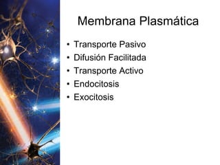 Membrana Plasmática Transporte Pasivo Difusión Facilitada Transporte Activo Endocitosis Exocitosis 
