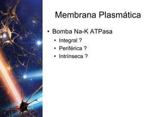 Membrana Plasmática Bomba Na-K ATPasa Integral ? Periférica ? Intrínseca ? 