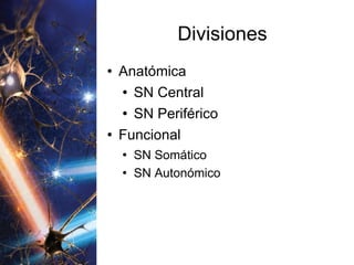 Divisiones Anatómica SN Central SN Periférico Funcional SN Somático SN Autonómico 