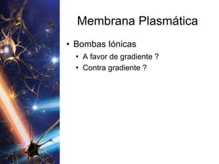 Membrana Plasmática Bombas Iónicas A favor de gradiente ? Contra gradiente ? 