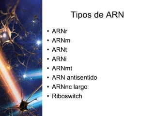 Tipos de ARN ARNr ARNm ARNt ARNi ARNmt ARN antisentido ARNnc largo Riboswitch 
