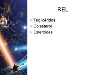 REL Triglicéridos Colesterol Esteroides 