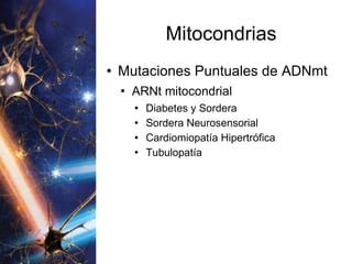 Mitocondrias Mutaciones Puntuales de ADNmt ARNt mitocondrial Diabetes y Sordera Sordera Neurosensorial Cardiomiopatía Hipertrófica Tubulopatía 