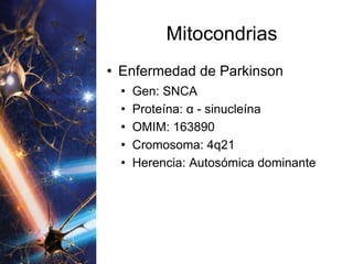 Mitocondrias Enfermedad de Parkinson Gen: SNCA Proteína:  α  - sinucleína OMIM: 163890 Cromosoma: 4q21 Herencia: Autosómica dominante 