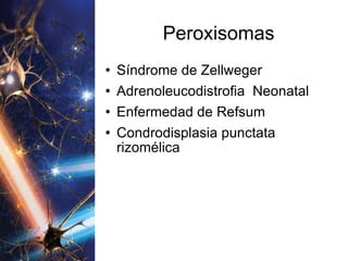 Peroxisomas Síndrome de Zellweger Adrenoleucodistrofia  Neonatal Enfermedad de Refsum Condrodisplasia punctata rizomélica 