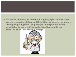  El área de la Medicina permite a la pedagogía conocer como
  operan los asuntos internos del cerebro, en un nivel neuronal,
  fisiológico y filógenico. Al igual que impregna una de las
  principales bases científicas a la investigación de los
  procesos de enseñanza-aprendizaje.
 