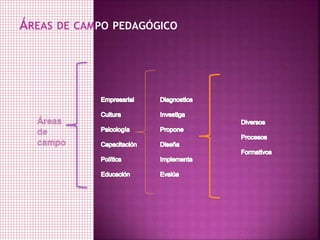 ÁREAS DE CAMPO PEDAGÓGICO
Áreas
de
campo
 