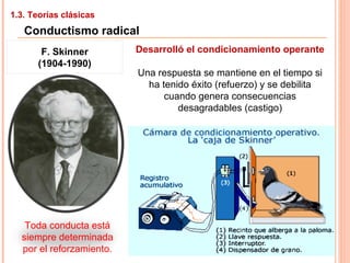 1.3. Teorías clásicas
Conductismo radical
F. Skinner
(1904-1990)
Desarrolló el condicionamiento operante
Una respuesta se mantiene en el tiempo si
ha tenido éxito (refuerzo) y se debilita
cuando genera consecuencias
desagradables (castigo)
Toda conducta está
siempre determinada
por el reforzamiento.
 