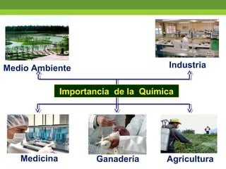 Medio Ambiente Industria
Medicina Ganadería Agricultura
Importancia de la Química
 