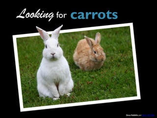 Huge mutant carrot 001 por inspector_81
Organic
CARROT
Properties
vídeo recipes
where to
buy
 