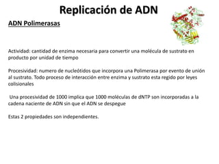 Replicación de ADN
ADN Polimerasas
Actividad: cantidad de enzima necesaria para convertir una molécula de sustrato en
producto por unidad de tiempo
Procesividad: numero de nucleótidos que incorpora una Polimerasa por evento de unión
al sustrato. Todo proceso de interacción entre enzima y sustrato esta regido por leyes
colisionales
Una procesividad de 1000 implica que 1000 moléculas de dNTP son incorporadas a la
cadena naciente de ADN sin que el ADN se despegue
Estas 2 propiedades son independientes.
 