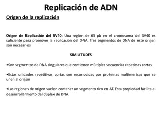 Replicación de ADN
Origen de la replicación
Origen de Replicación del SV40: Una región de 65 pb en el cromosoma del SV40 es
suficiente para promover la replicación del DNA. Tres segmentos de DNA de este origen
son necesarios
SIMILITUDES
•Son segmentos de DNA singulares que contienen múltiples secuencias repetidas cortas
•Estas unidades repetitivas cortas son reconocidas por proteínas multimericas que se
unen al origen
•Las regiones de origen suelen contener un segmento rico en AT. Esta propiedad facilita el
desenrrollamiento del dúplex de DNA.
 