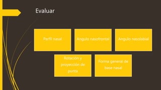 Evaluar 
Perfil nasal Angulo nasofrontal Angulo nasolabial 
Rotación y 
proyección de 
punta 
Forma general de 
base nasal 
 