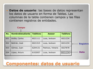Datos de usuario: las bases de datos representan los datos de usuario en forma de Tablas. Las columnas de la tabla contienen campos y las filas contienen registros de entidades.CampoRegistroDatoComponentes: datos de usuario
