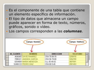 Componentes de una tabla: Campo Es el componente de una tabla que contiene un elemento específico de información. El tipo de datos que almacena un campo puede aparecer en forma de texto, números, gráficos, sonido o vídeo.Los campos corresponden a las columnas.