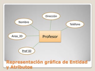 DirecciónNombreTeléfonoProfesorArea_IDProf IDRepresentación gráfica de Entidad y Atributos