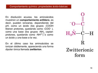 En disolución acuosa, los aminoácidos
muestran un comportamiento anfótero, es
decir, pueden ionizarse, dependiendo del
pH, como un ácido (los grupos -COOH
liberan protones, quedando como -COO-
),
como una base (los grupos -NH2
captan
protones, quedando como -NH3+
) o como
un ácido y una base a la vez.
En el último caso los aminoácidos se
ionizan doblemente, apareciendo una forma
dipolar iónica llamada zwitterion.
18
Comportamiento químico: propiedades ácido-básicas
 