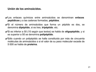 Unión de los aminoácidos.
✔Los enlaces químicos entre aminoácidos se denominan enlaces
peptídicos y a las cadenas formadas, péptidos.
✔Si el número de aminoácidos que forma un péptido es dos, se
denomina dipéptido, si es tres, tripéptido. etc.
✔Si es inferior a 50 (10 según que textos) se habla de oligopéptido, y si
es superior a 50 se denomina polipéptido.
✔Sólo cuando un polipéptido se halla constituido por más de cincuenta
moléculas de aminoácidos o si el valor de su peso molecular excede de
5 000 se habla de proteína.
21
 