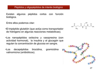 27
Péptidos y oligopéptidos de interés biológico
Existen algunos péptidos cortos con función
biológica.
Entre ellos podemos citar:
•El tripéptido glutatión (que actúa como transportador
de hidrógeno en algunas reacciones metabólicas).
•Los nanopéptidos oxitocina y vasopresina (con
actividad hormonal), la insulina y el glucagón que
regulan la concentración de glucosa en sangre.
•Los decapéptidos tirocidina, gramicidina y
valinomicina (antibióticos).
 