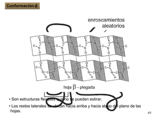 41
• Son estructuras flexibles que no se pueden estirar.
• Los restos laterales se ubican hacia arriba y hacia abajo del plano de las
hojas.
Conformación-β
 