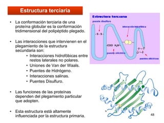 48
• La conformación terciaria de una
proteína globular es la conformación
tridimensional del polipéptido plegado.
• Las interacciones que intervienen en el
plegamiento de la estructura
secundaria son:
• Interacciones hidrofóbicas entre
restos laterales no polares.
• Uniones de Van der Waals.
• Puentes de Hidrógeno.
• Interacciones salinas.
• Puentes Disulfuro.
• Las funciones de las proteínas
dependen del plegamiento particular
que adopten.
• Esta estructura está altamente
influenciada por la estructura primaria.
Estructura terciaria
 