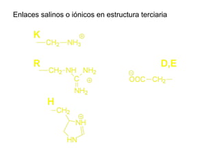 Enlaces salinos o iónicos en estructura terciaria
 