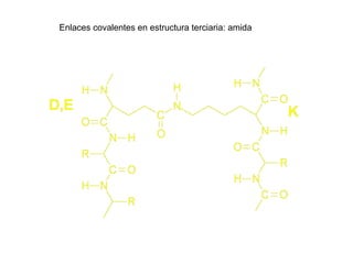 Enlaces covalentes en estructura terciaria: amida
 