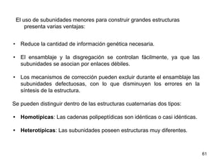 • Reduce la cantidad de información genética necesaria.
• El ensamblaje y la disgregación se controlan fácilmente, ya que las
subunidades se asocian por enlaces débiles.
• Los mecanismos de corrección pueden excluir durante el ensamblaje las
subunidades defectuosas, con lo que disminuyen los errores en la
síntesis de la estructura.
Se pueden distinguir dentro de las estructuras cuaternarias dos tipos:
• Homotípicas: Las cadenas polipeptídicas son idénticas o casi idénticas.
• Heterotípicas: Las subunidades poseen estructuras muy diferentes.
61
El uso de subunidades menores para construir grandes estructuras
presenta varias ventajas:
 