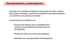 Consiste en la pérdida de todas las estructuras de orden superior
(secundaria, terciaria y cuaternaria) quedando la proteína reducida
a un polímero con estructura primaria.
Consecuencias inmediatas son:
- Disminución drástica de la solubilidad de la
proteína, acompañada frecuentemente de
precipitación
- Pérdida de todas sus funciones biológicas
- Alteración de sus propiedades hidrodinámicas
Desnaturalización y renaturalización
 