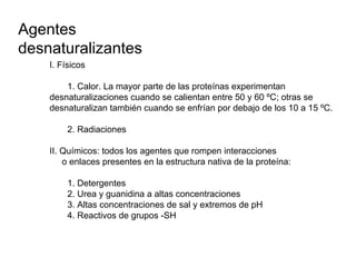 Agentes
desnaturalizantes
I. Físicos
1. Calor. La mayor parte de las proteínas experimentan
desnaturalizaciones cuando se calientan entre 50 y 60 ºC; otras se
desnaturalizan también cuando se enfrían por debajo de los 10 a 15 ºC.
2. Radiaciones
II. Químicos: todos los agentes que rompen interacciones
o enlaces presentes en la estructura nativa de la proteína:
1. Detergentes
2. Urea y guanidina a altas concentraciones
3. Altas concentraciones de sal y extremos de pH
4. Reactivos de grupos -SH
 